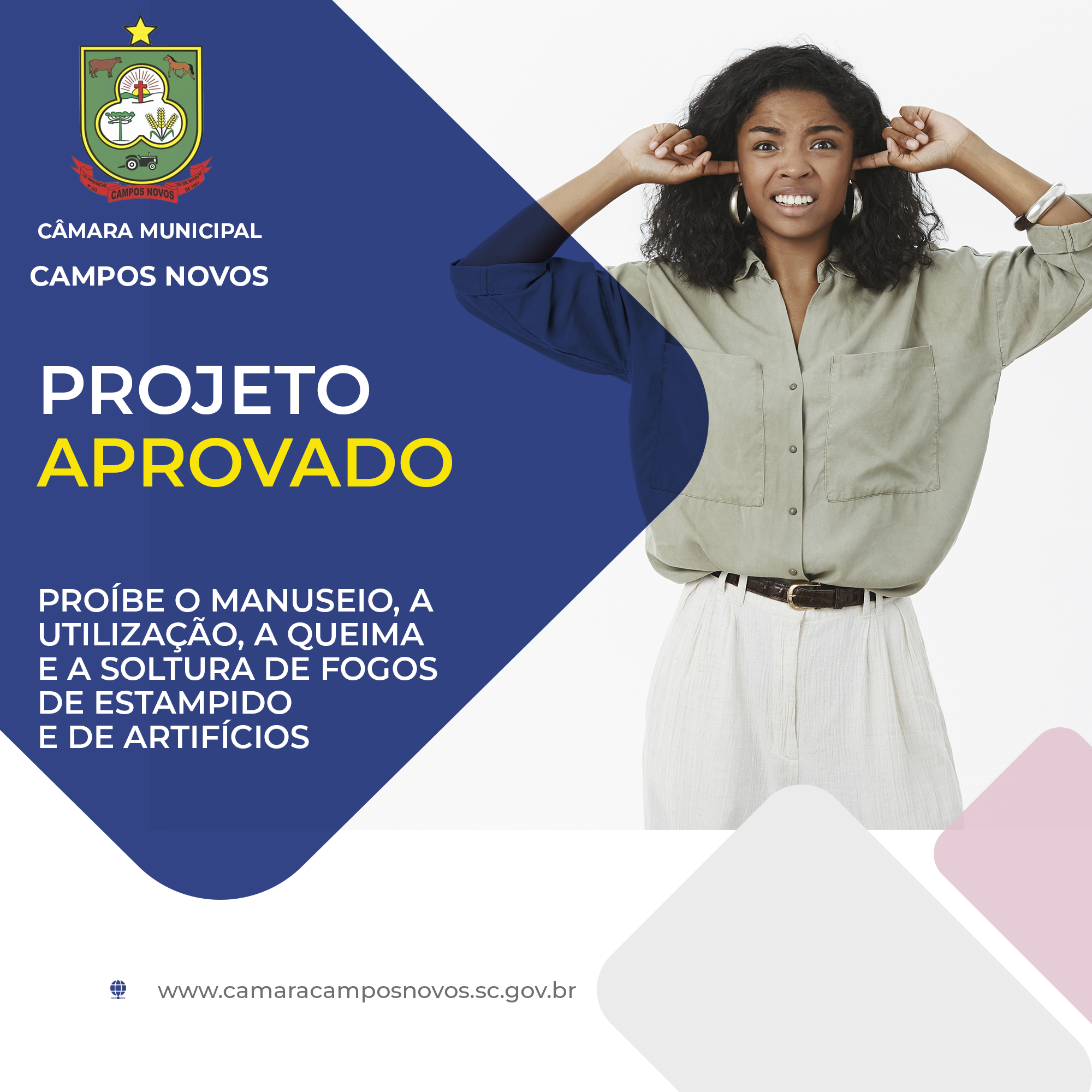 Projeto De Lei do Legislativo Aprovado